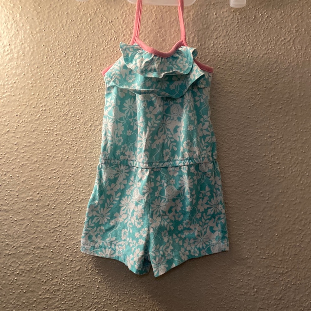 Toddler girl, size 2T Healthtex jumper